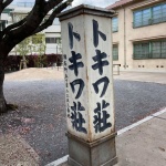 169985555_324213129068462_2001646652425537938_n