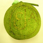 jca_information_28_0