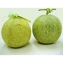 jca_information_28_1